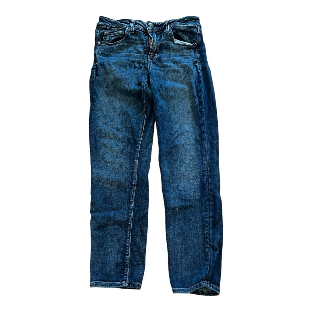 American Eagle Outfitters Blue Skinny Jeans